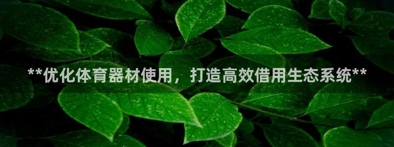 耀世平台注册流程：**优化体育器材使用，打造高效借用