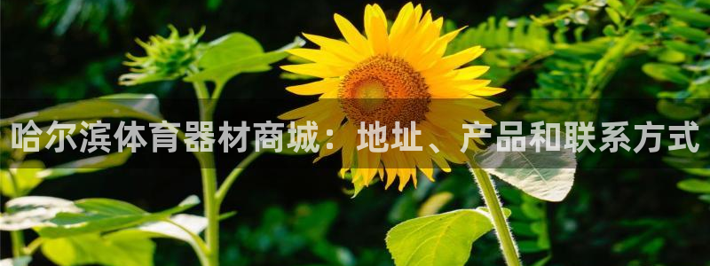 耀世娱乐app下载官网：哈尔滨体育器材商城：地址、产