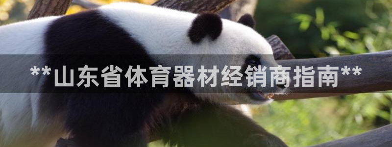 耀世娱乐电 5O6917 娱乐：**山东省体育器材经
