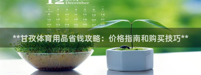 耀世娱乐网站官网：**甘孜体育用品省钱攻略：价格指南