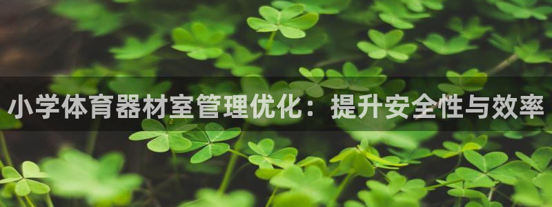 耀世娱乐挂机教程下载：小学体育器材室管理优化：提升安