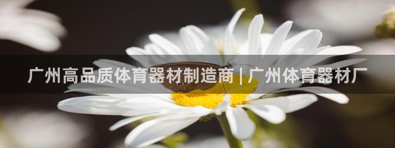 耀世平台想 58534I 平台：广州高品质体育器材制