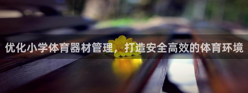 耀世平台丁6.7.5.1.3.8：优化小学体育器材管