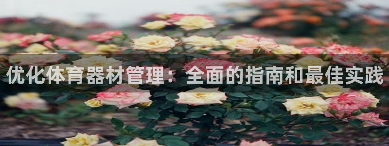 耀世平台的运营模式：优化体育器材管理：全面的指南和最