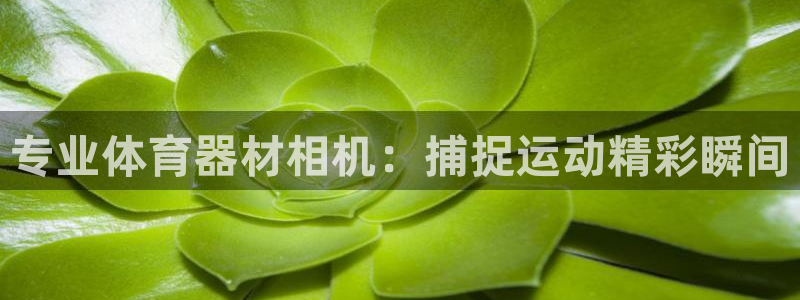 耀世启航什么意思：专业体育器材相机：捕捉运动精彩瞬间