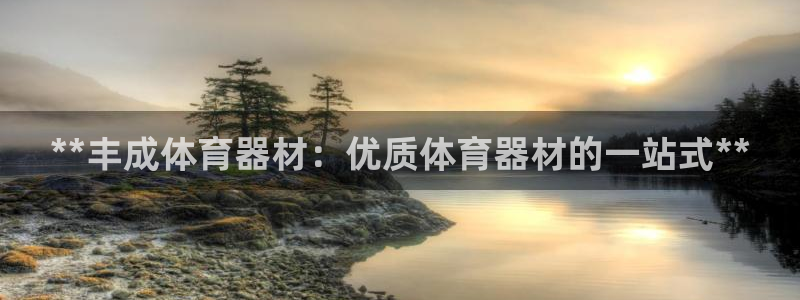 耀世三国官网：**丰成体育器材：优质体育器材的一站式