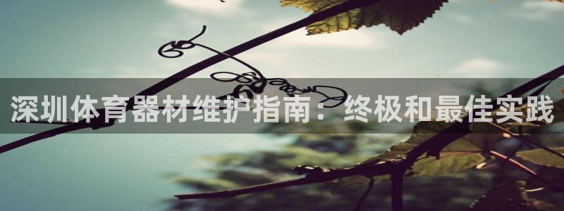 耀世娱乐挂机软件：深圳体育器材维护指南：终极和最佳实