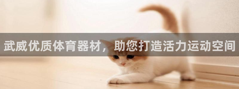 耀世娱乐中国创新：武威优质体育器材，助您打造活力运动