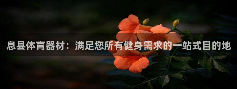 耀世娱乐在线登录官网入口下载：息县体育器材：满足您所