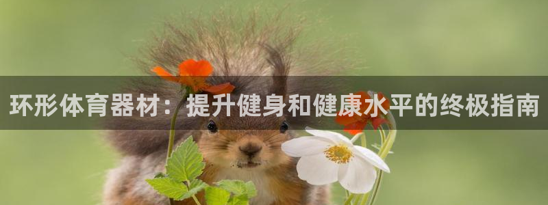 耀世娱乐安全吗：环形体育器材：提升健身和健康水平的终