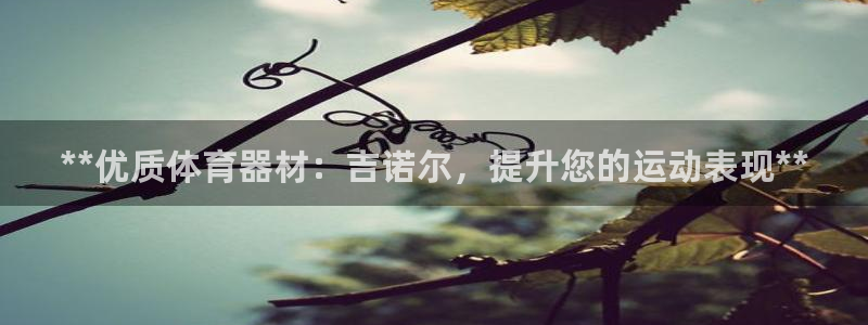 耀世平台马 5O6917 耀世：**优质体育器材：吉