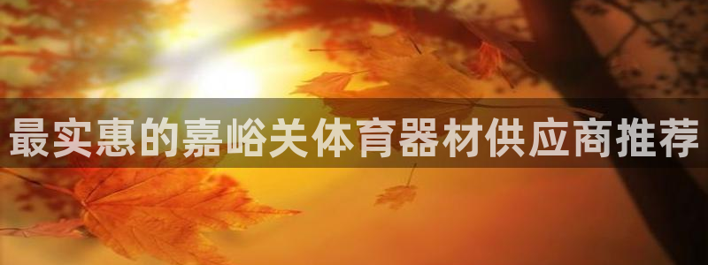 耀世集团耀哥：最实惠的嘉峪关体育器材供应商推荐