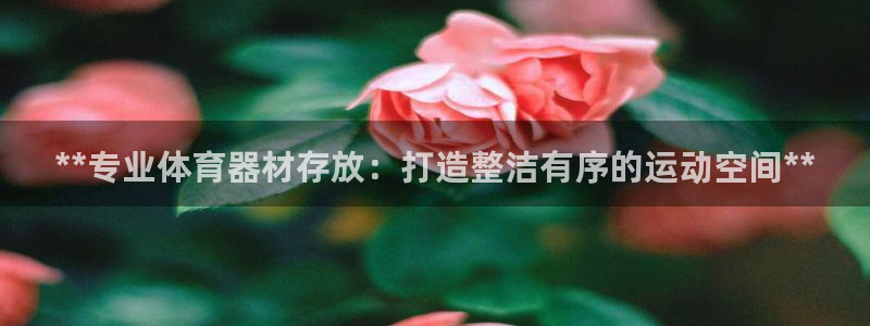 耀世平台代理：**专业体育器材存放：打造整洁有序的运