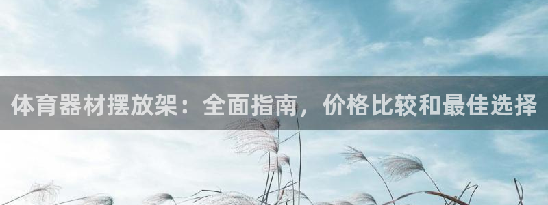 耀世娱乐网址是什么：体育器材摆放架：全面指南，价格比