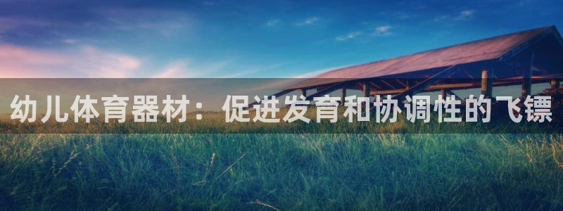 耀世娱乐百科最新：幼儿体育器材：促进发育和协调性的飞