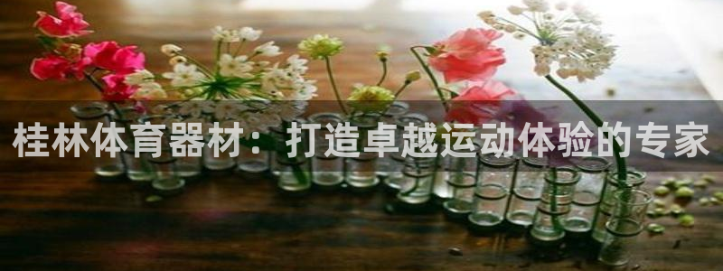 耀世令是什么：桂林体育器材：打造卓越运动体验的专家