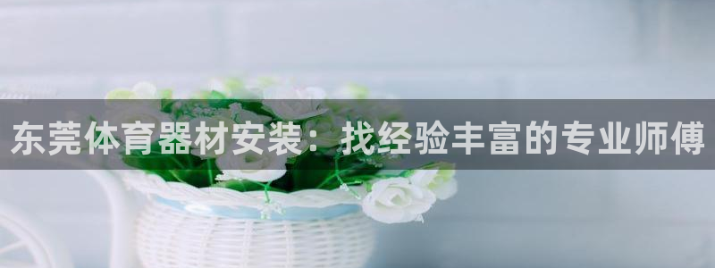 耀世幻主：东莞体育器材安装：找经验丰富的专业师傅