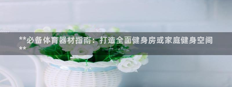 耀世集团视频直播：**必备体育器材指南：打造全面健身