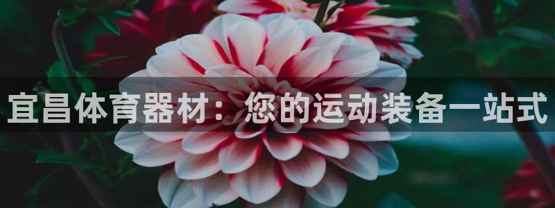 耀世平台注册：宜昌体育器材：您的运动装备一站式