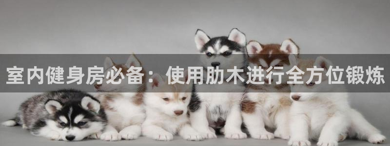 耀世娱乐是正规还是仿：室内健身房必备：使用肋木进行全