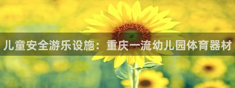 耀世娱乐在线登录官网入口：儿童安全游乐设施：重庆一流