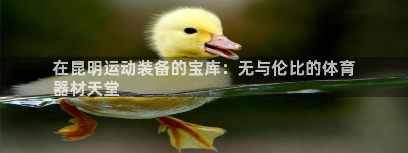 耀世璀璨：在昆明运动装备的宝库：无与伦比的体育
器材