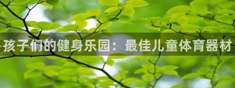 耀世集团四个字的图片：孩子们的健身乐园：最佳儿童体育