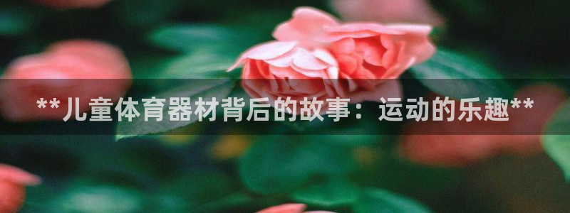 耀世平台代理怎么做任务：**儿童体育器材背后的故事：