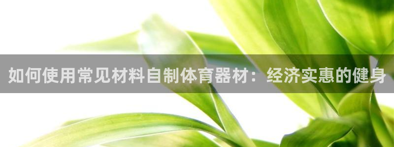 耀世天下的网名是什么意思啊：如何使用常见材料自制体育