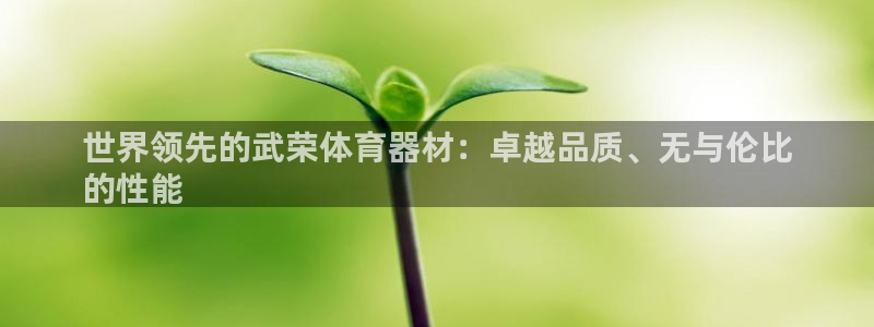 耀世盛典官网下载：世界领先的武荣体育器材：卓越品质、