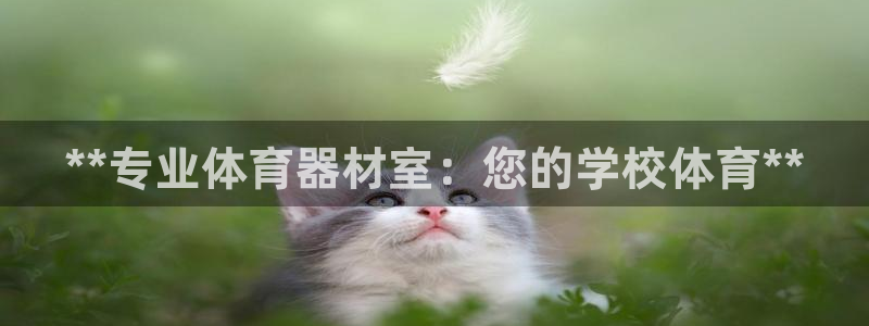 耀世集团视频介绍下载：**专业体育器材室：您的学校体