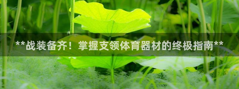 耀世楼盘：**战装备齐！掌握支领体育器材的终极指南**