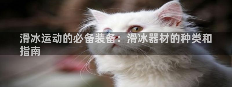 耀世娱乐平台官网登录不了了：滑冰运动的必备装备：滑冰