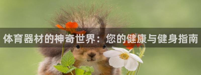 耀世平台注册开户：体育器材的神奇世界：您的健康与健身