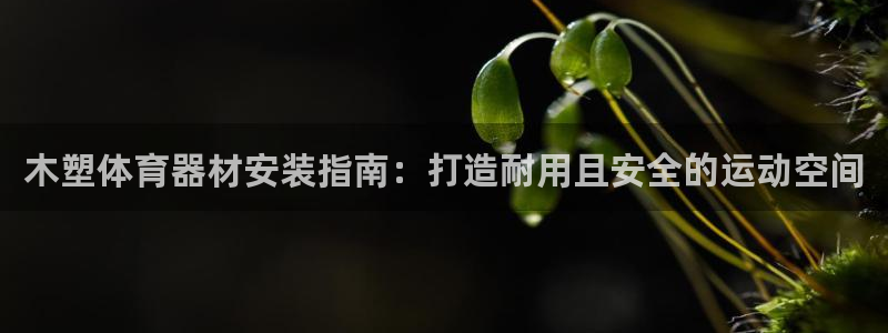 耀世油烟机价格及图片：木塑体育器材安装指南：打造耐用且安全的