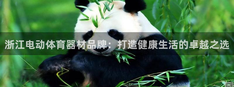 耀世平台注册登录：浙江电动体育器材品牌：打造健康生活