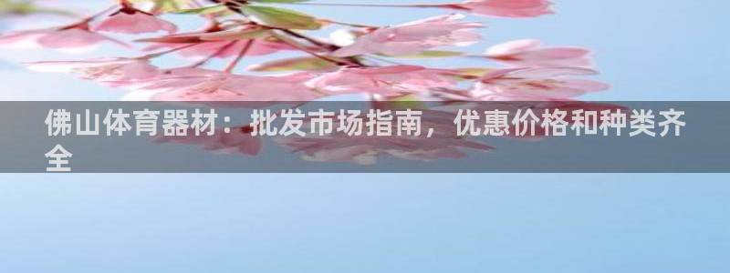 耀世平台最新注册地址是哪里的：佛山体育器材：批发市场指南，优