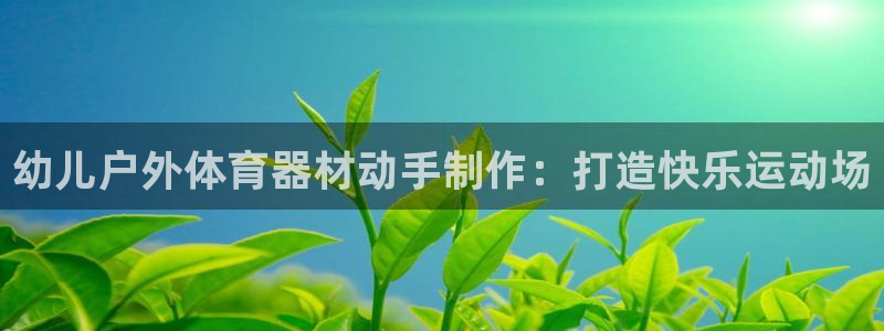 耀世娱乐挂机：幼儿户外体育器材动手制作：打造快乐运动