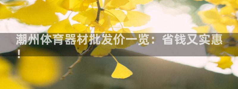 耀世娱乐中国：潮州体育器材批发价一览：省钱又实惠
！