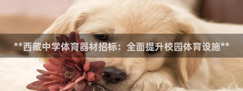 耀世平台注册网址是多少啊：**西藏中学体育器材招标：