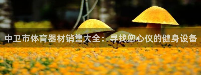 耀世微光mv：中卫市体育器材销售大全：寻找您心仪的健身设备
