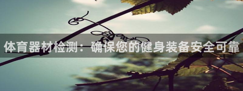 耀世集团商业联盟罗文斌主任：体育器材检测：确保您的健身装备安