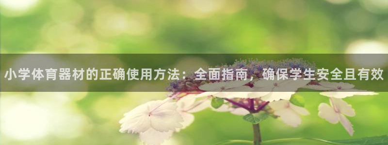 耀世成语：小学体育器材的正确使用方法：全面指南，确保