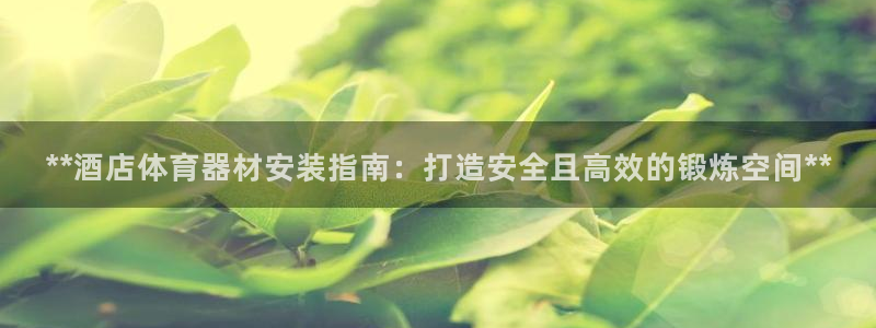 耀世娱乐提现失败：**酒店体育器材安装指南：打造安全
