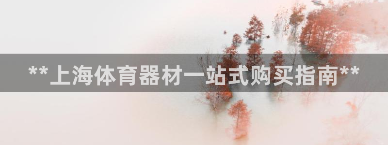 耀世挑战怎么过：**上海体育器材一站式购买指南**
