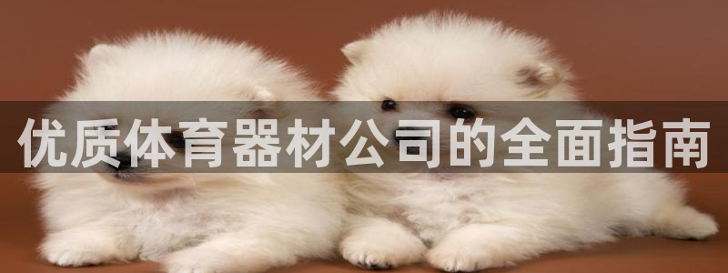 耀世娱乐软件下载安装：优质体育器材公司的全面指南