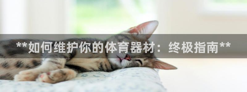 耀世娱乐挂机软件：**如何维护你的体育器材：终极指南**