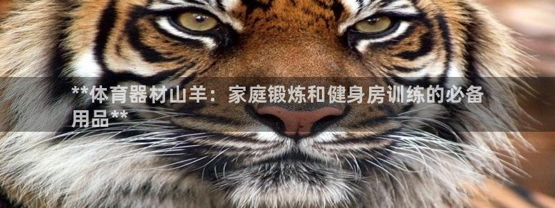 耀世天下的网名是什么意思啊：**体育器材山羊：家庭锻炼和健身