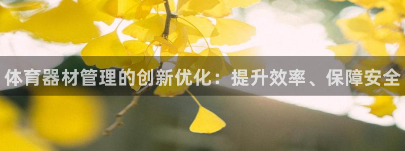 耀世娱乐辅助软件下载安卓：体育器材管理的创新优化：提升效率、