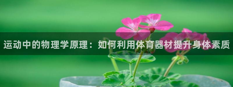 耀世娱乐平台注册地址在哪里找